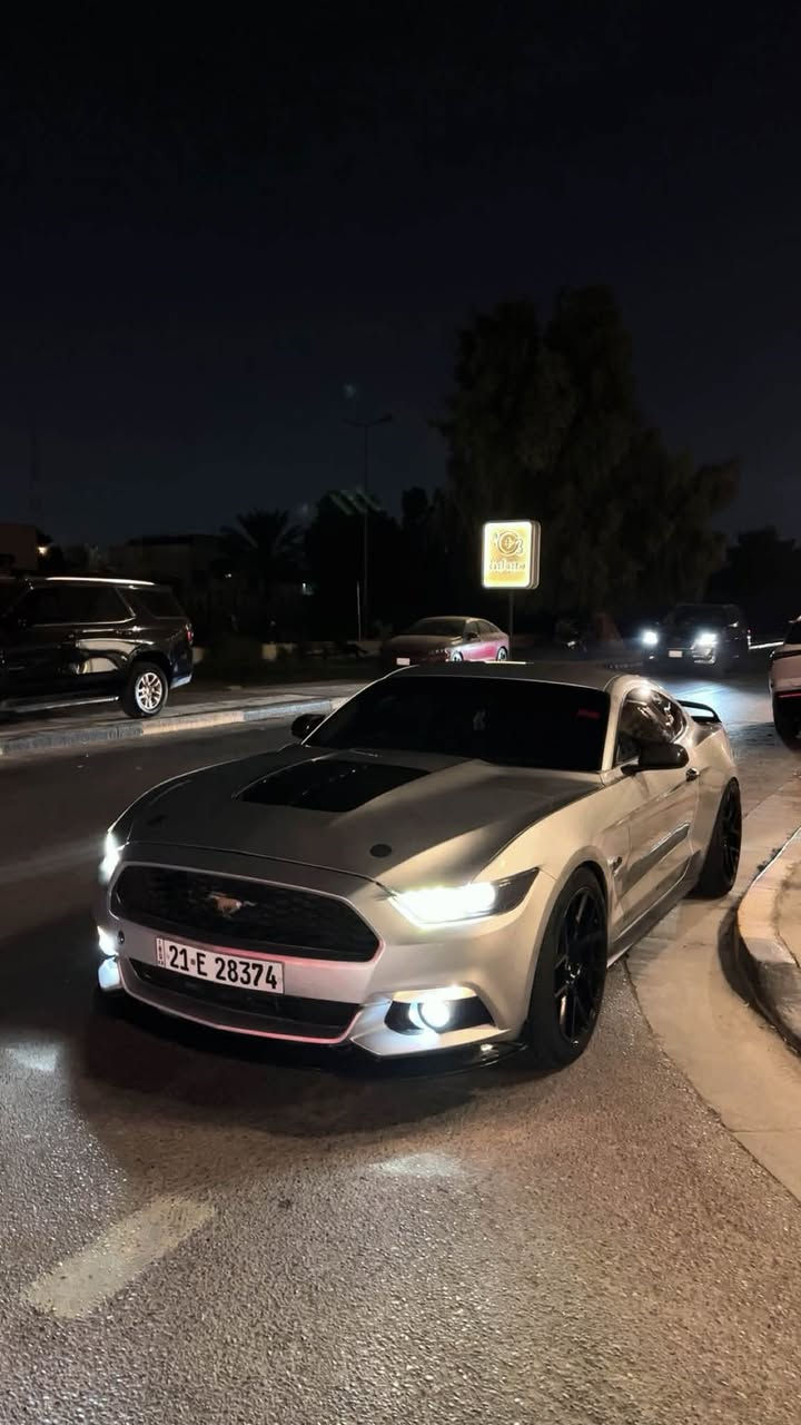 موستنك ايكو بوست • ٢٠١٧ • حادثه اماميه