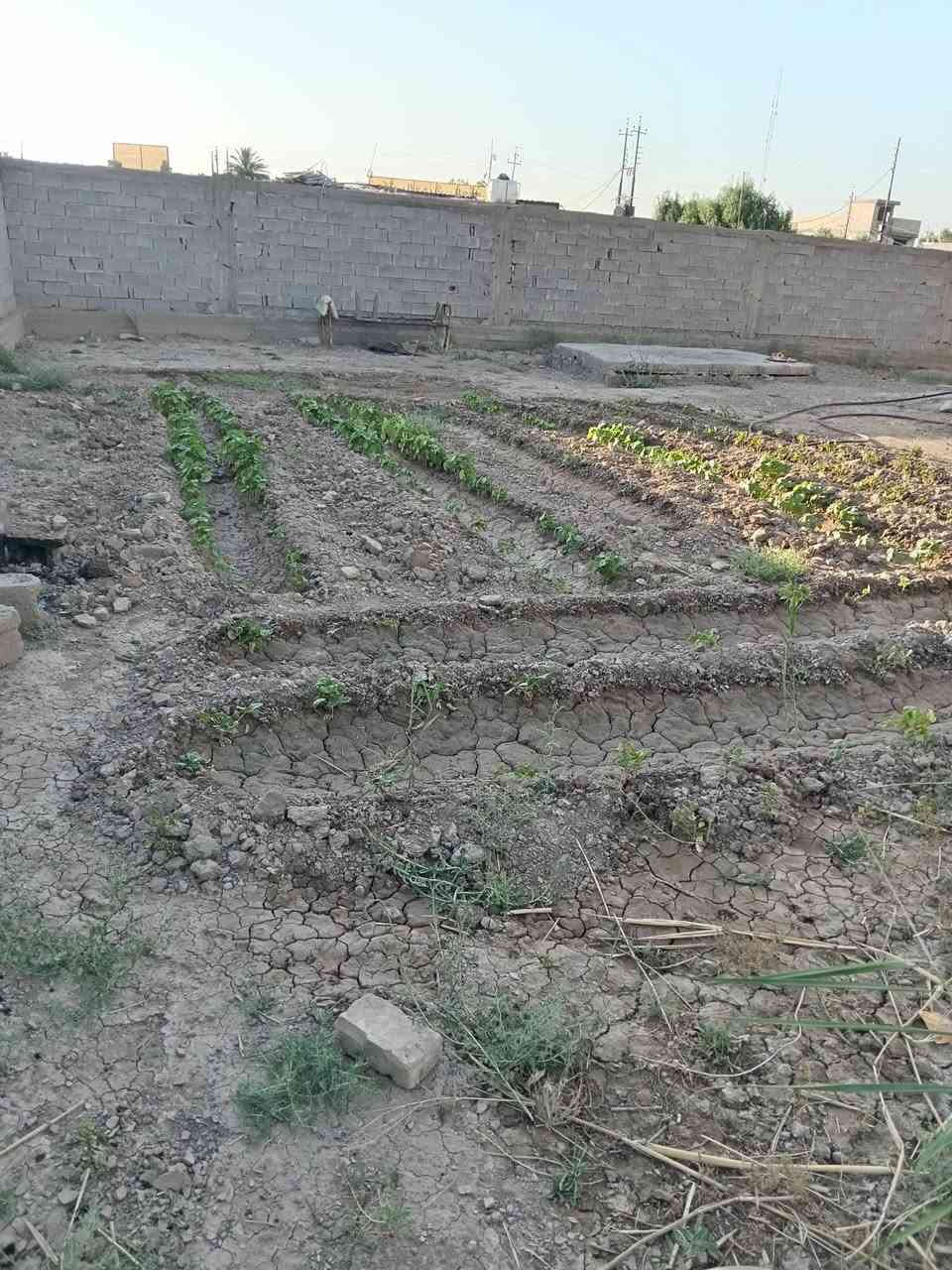 السلام عليكم   قطعة ارض للبيع 700 متر عليه دار طابقين  متكون 2 نوم استقبل ومطبخ وحولي وصحيات في الطابق الاول وفي الطابق الثاني متكون من 2 نوم ومنور وصحيات علمن دار مجاز 300 متر وتنزل حصه في سند25 الدوره هوررجب قرب شارع حي السلام وهذا الرقم ***********
