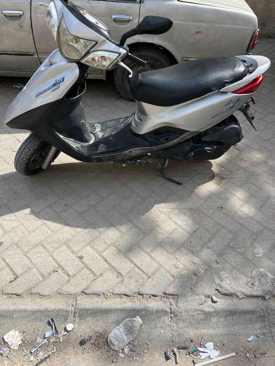 بغبغاء • نظيفة • مكفولة