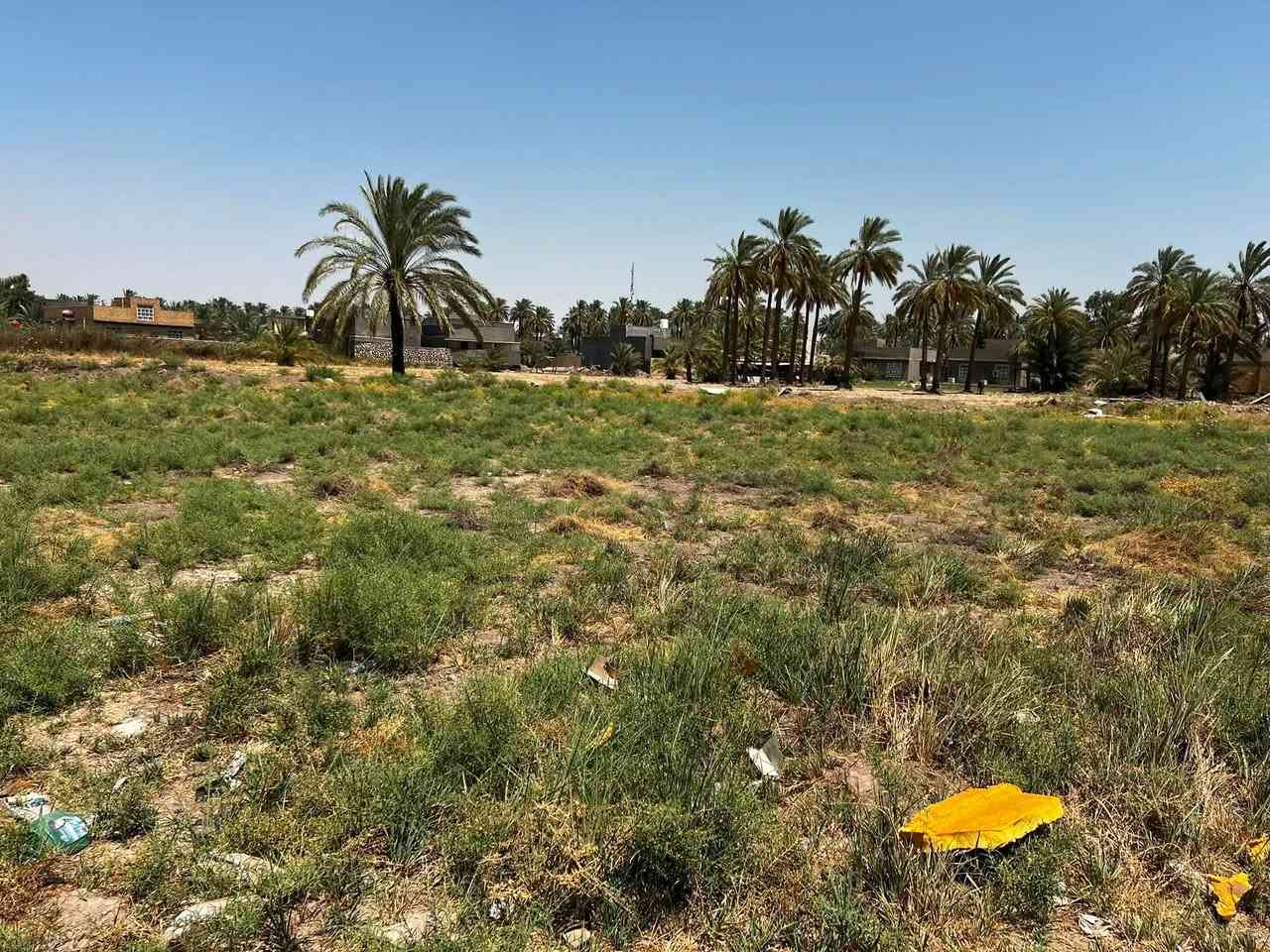 قطعه ارض للبيع 
المساحه 200م
الموقع گاع الگوام مقابيل بستان زين العابدين 
سند 25 تحويل مباشر 
توجد كامل الخدمات  
الشارع على مدرسه الزگندري 
كذالك على گنطره وعد الكصاب 
السعر 40 وبيه مجال قليل 
للاستفسار اكثر مراسله الصفحه او الاتصال على الرقم ***********
