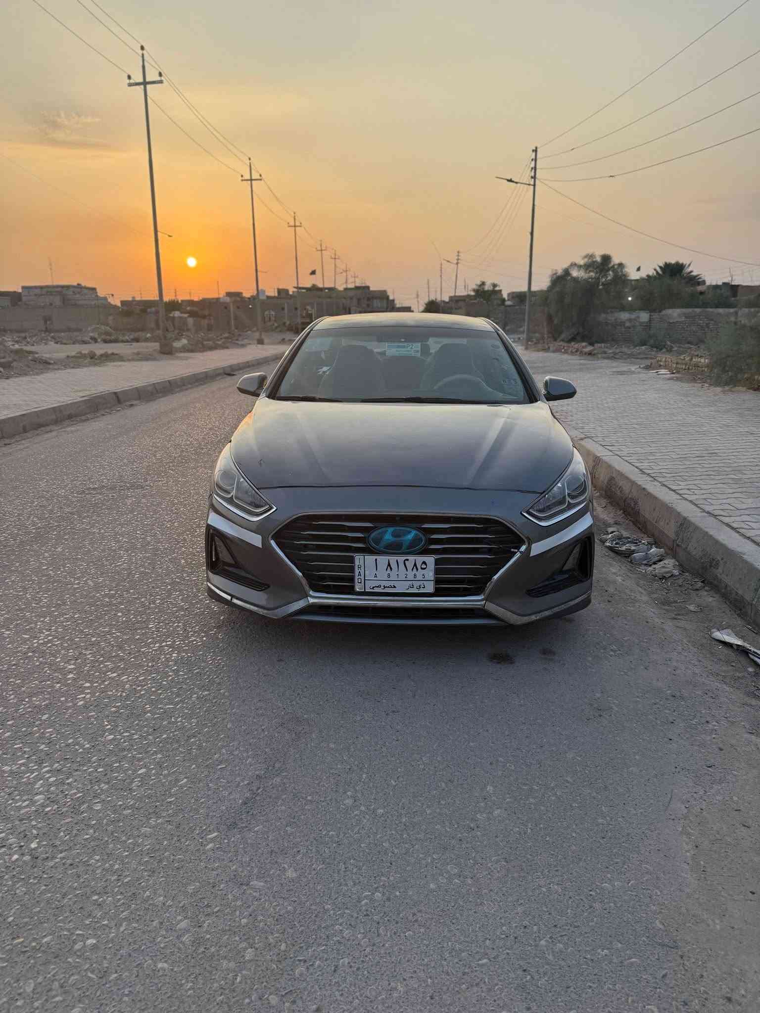 سوناته • ٢٠١٨ • البصره القرنه