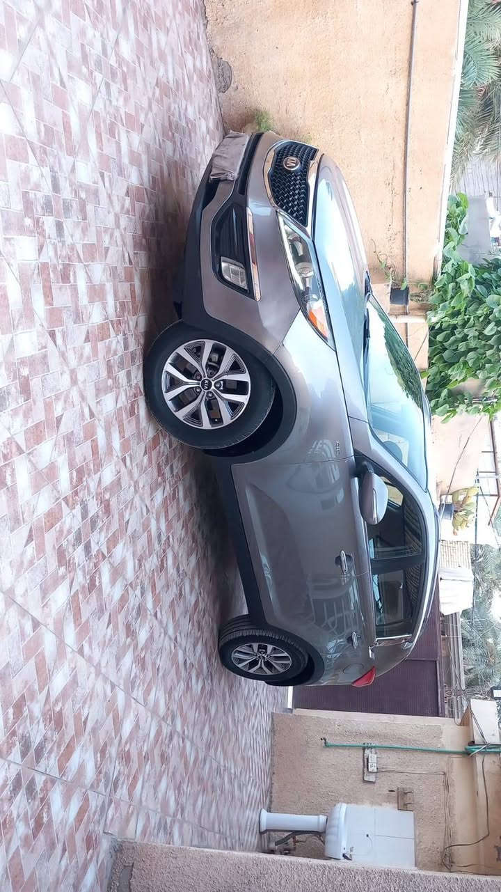 سبورتج • ٢٠١٤ • رقم كربلاء
