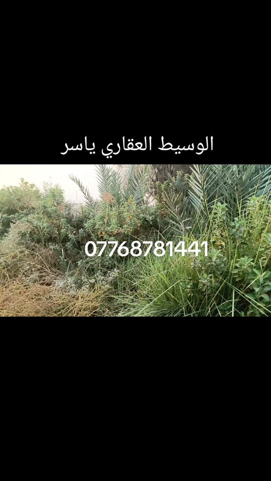 بستان • ٥ دونم • بعقوبه بهرز العباره