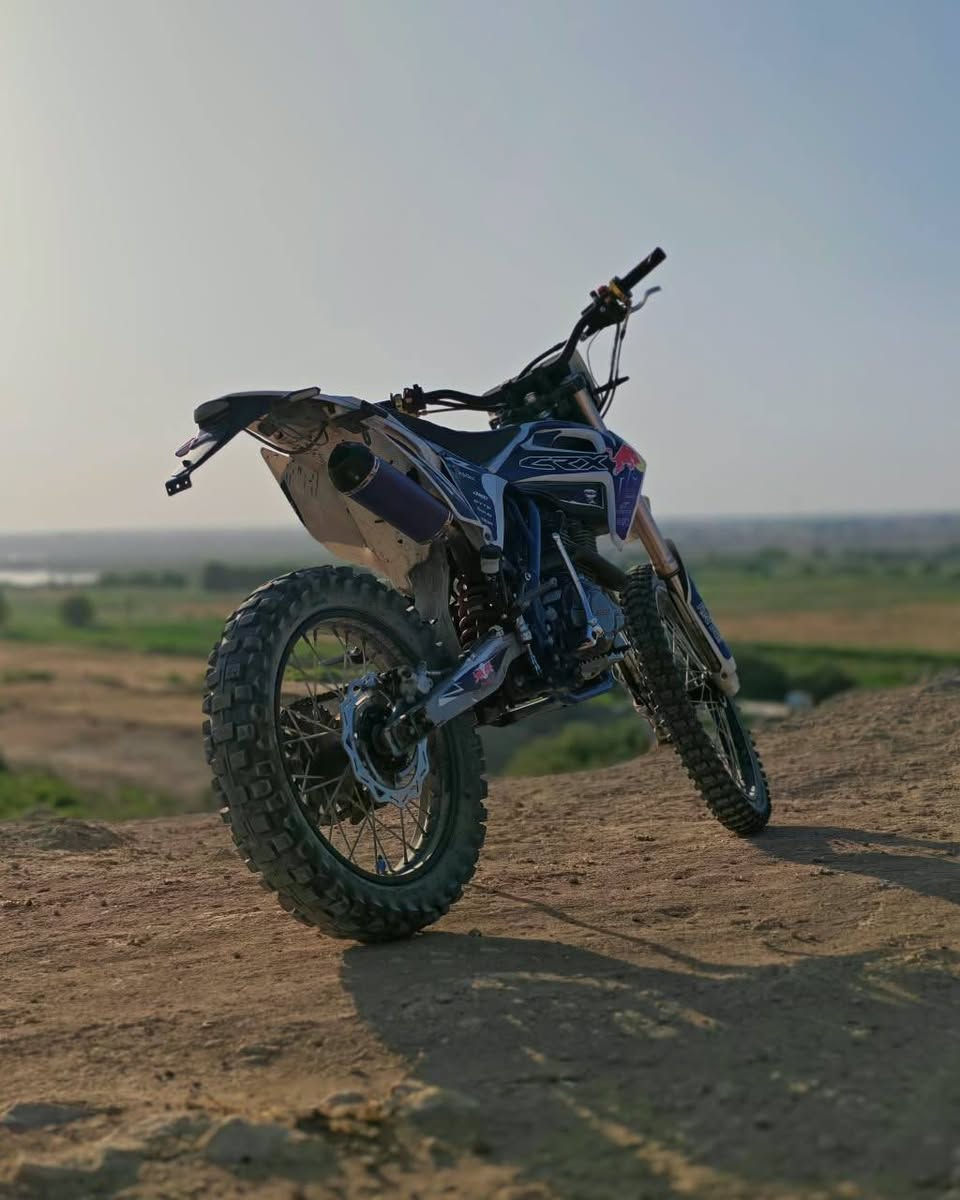 قفاز • ٣٠٠ • ٢٠٢٤