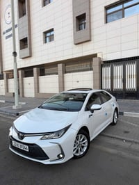 كورلا • ٢٠٢٤ • رقم اربيل