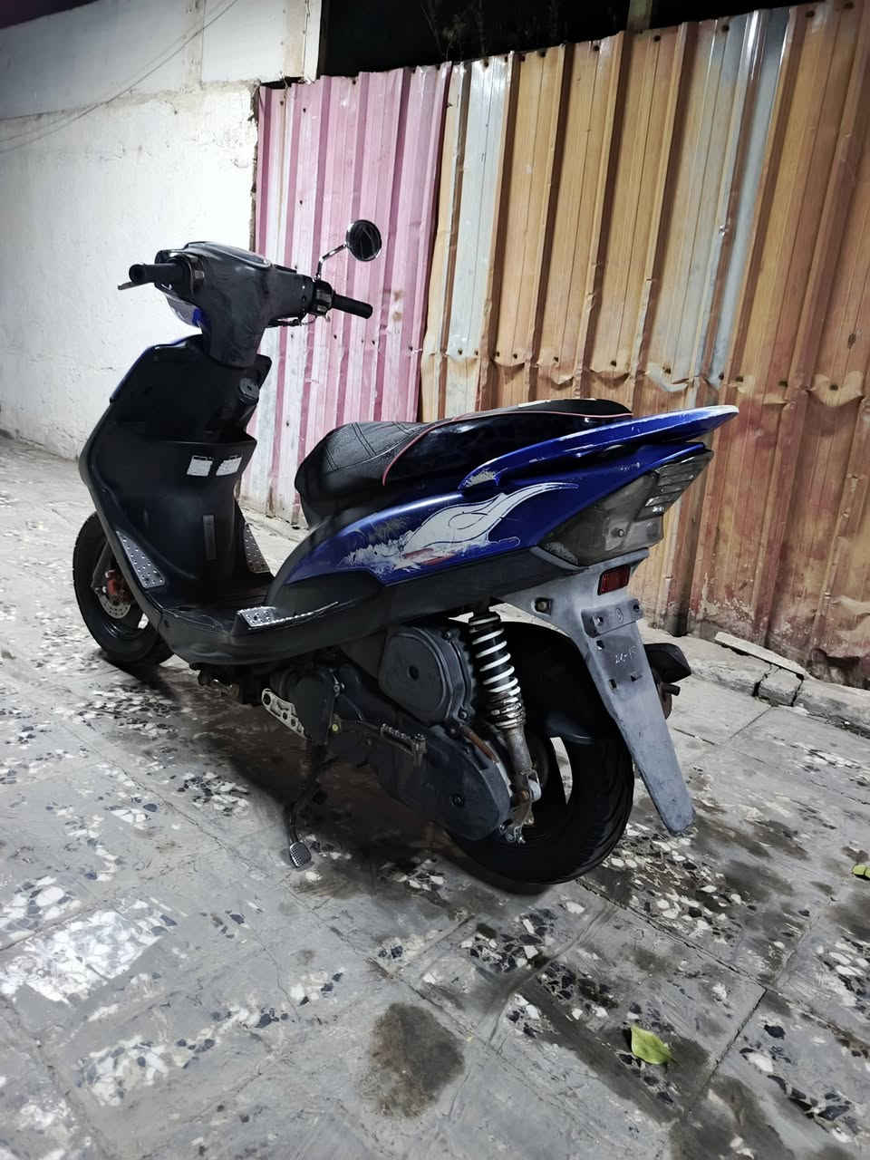 ماكس عدلة • بلادية • كفالة
