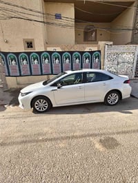 كورولا جيهان • ٢٠٢٥ • النجف الاشرف