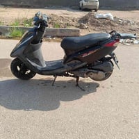 بريس • فحل