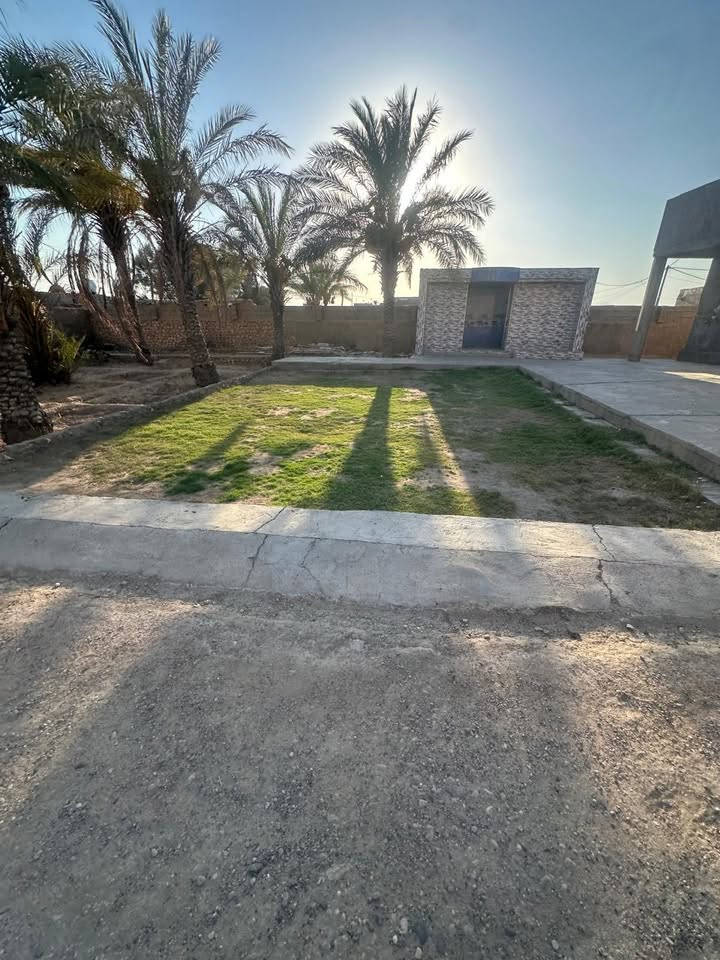 🏡 للبيع أو الإيجار — فرصة مميزة في ناحية الفرات
📐 المساحة: 1100 متر مربع
🌴 يحتوي على حدائق كبيرة وأشجار نخيل
📍 مقابل مدرسة الأنام الابتدائية — ناحية الفرات
🌿 موقع هادئ ومناسب للسكن أو الاستثمار

💰 متوفر للبيع أو الإيجار حسب الاتفاق

📞 للاستفسار والتواصل:
***********
***********

للمهتمين الجادين، يرجى الاتصال للاستفسار عن التفاصيل والسعر.
