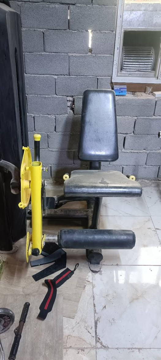 سيقان امامي • بغداد