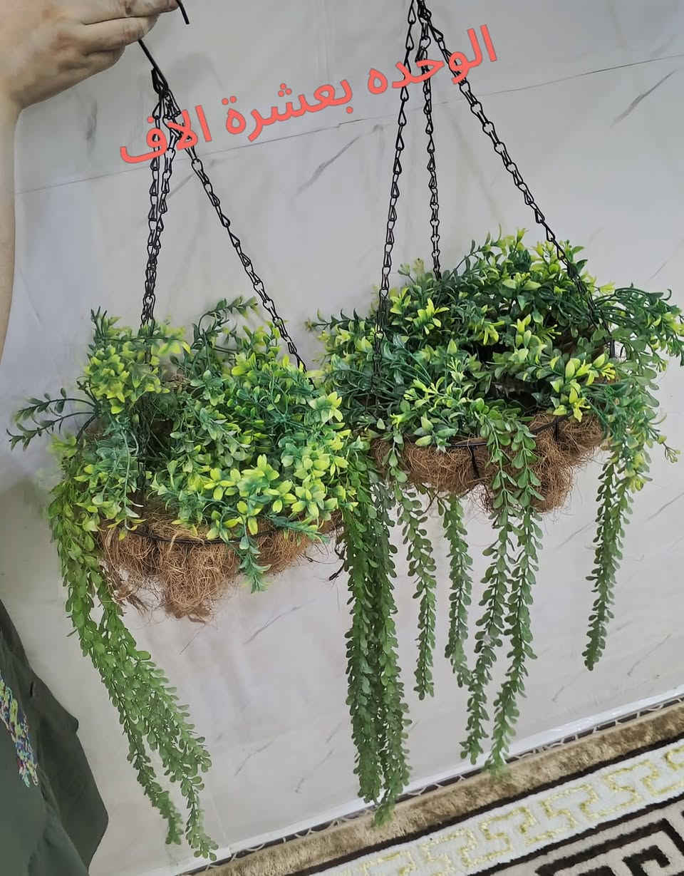 تخفيضات • توصيل العراق • خشب سنديان