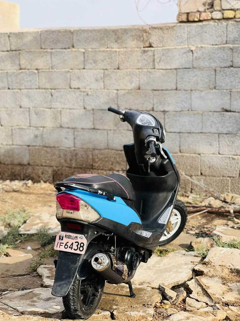 ماكس عدله • بوشه ٥٥ • اوراق
