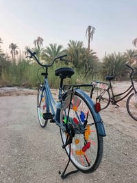 باسكل • مقاس 26 • موديل ٢٠٢٢