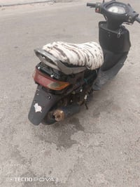 فراشة • فحل • مفتوحه
