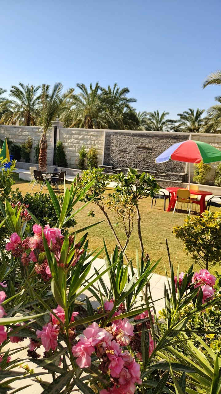 سلام عليكم متوفر مزرعه للايجار اليومي في البوعيثه للاتصال ***********
