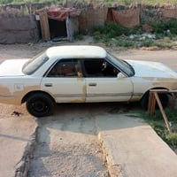 ترايك • نقص صبغ • النجف