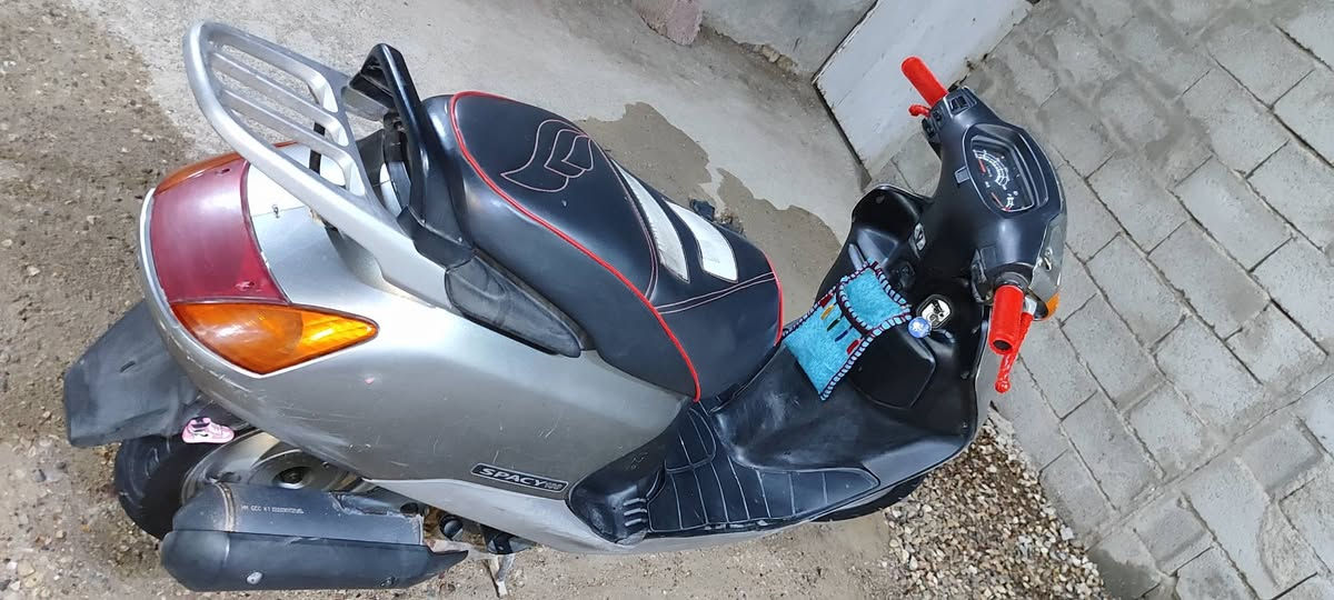 سبيسي • ياباني • مفتوحه