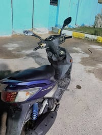 سكنس • فحل • بنفسجي