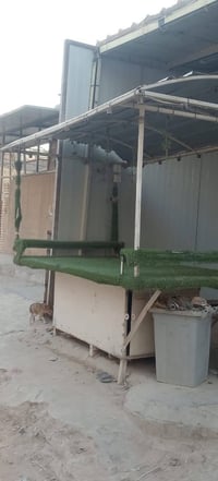 عربانه لبلبي للبيع مكان بغداد واتساب 07719875863