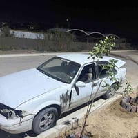 رقم بابل • سنويه • طيوريج