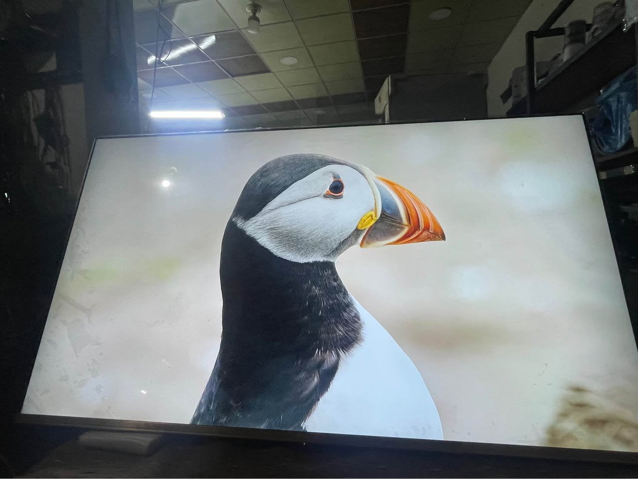 Tv 65 hcm *********** DUHOK TANAHİ دهوك, العراق
