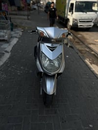 سكنس فحل • ياباني • مكفوله