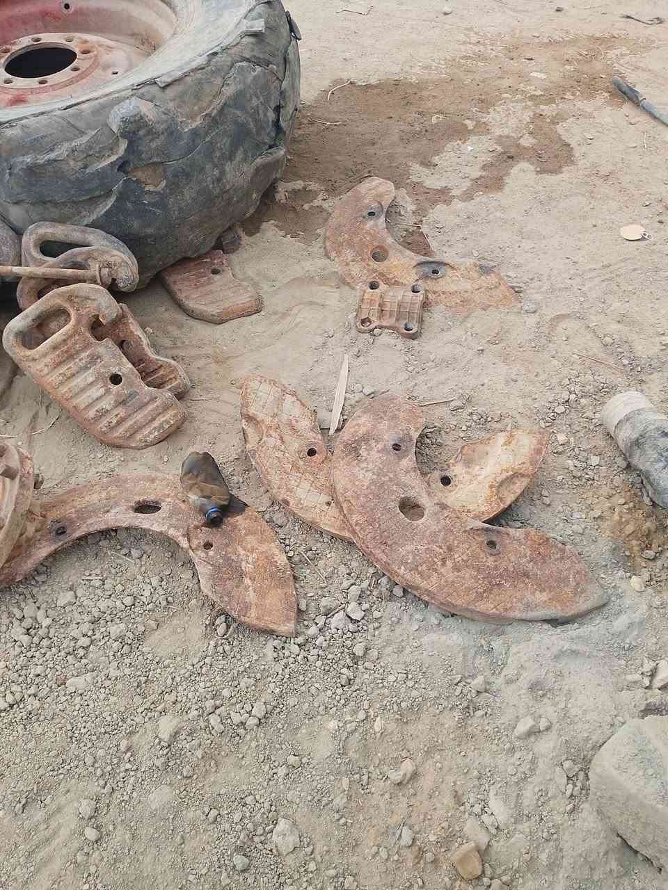 بيلاروس • كاملات • خلفية أمامية