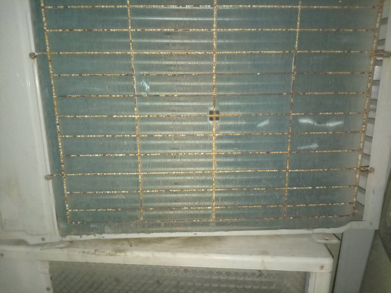 خارجيات طنين
خارجيات طنين شرط شقل والضمان بدون غاز 175
هيه وغازه 225
ضمان سبوع
البصره ابي الخصيب باب اطويل
***********
