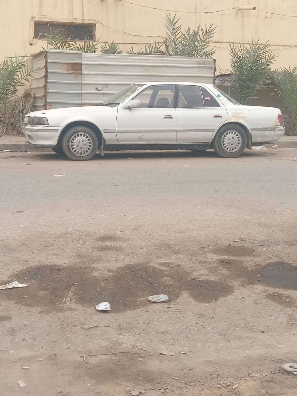 نقل جثه • كفاله • النجف