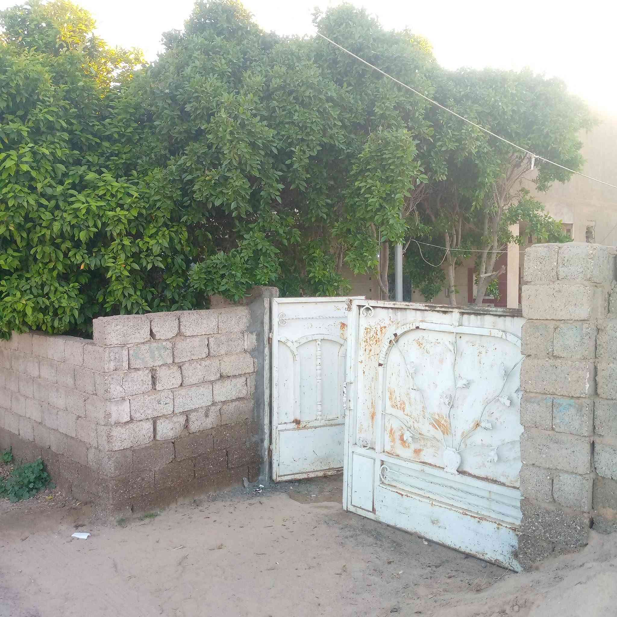 السلام عليكم
بيت للبيع  مساحت الأرض 500 م
على شارع الرئيسي مال جرف الملح

للاستفسار ***********
