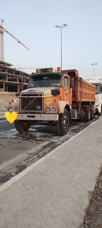 فالفو • موديل ٨٢ • مكفوله