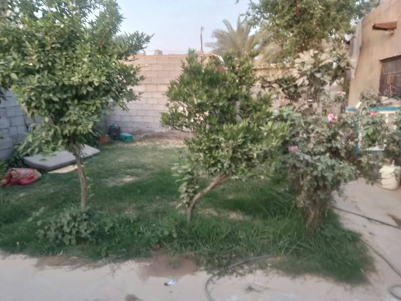 نهايت حي عرار • ٢٠٠م • حديقه جبيره