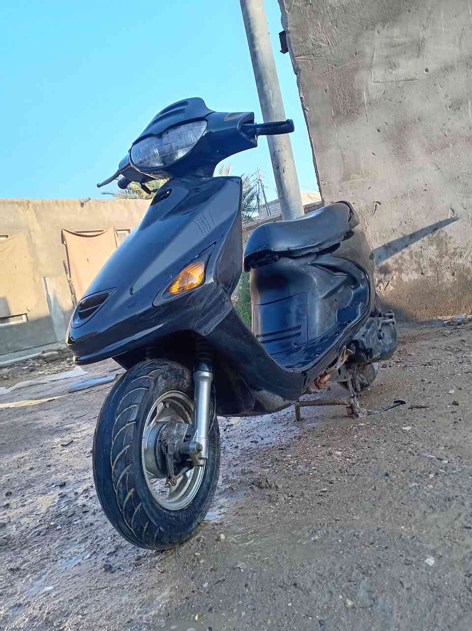 فراشه • شغاله • القرنه