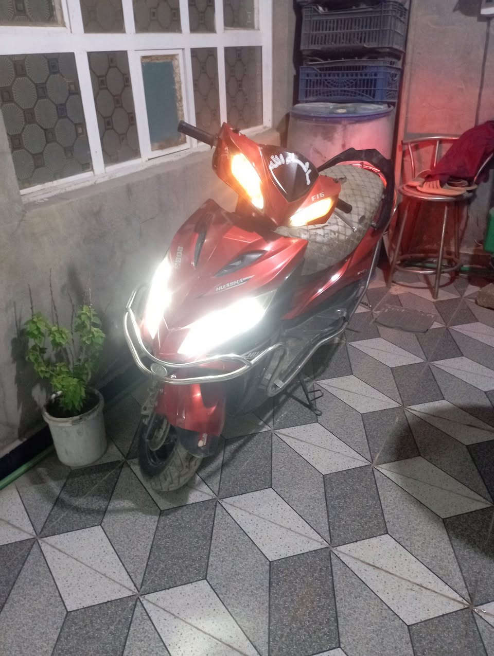 جامبو • مراوس • القاسم