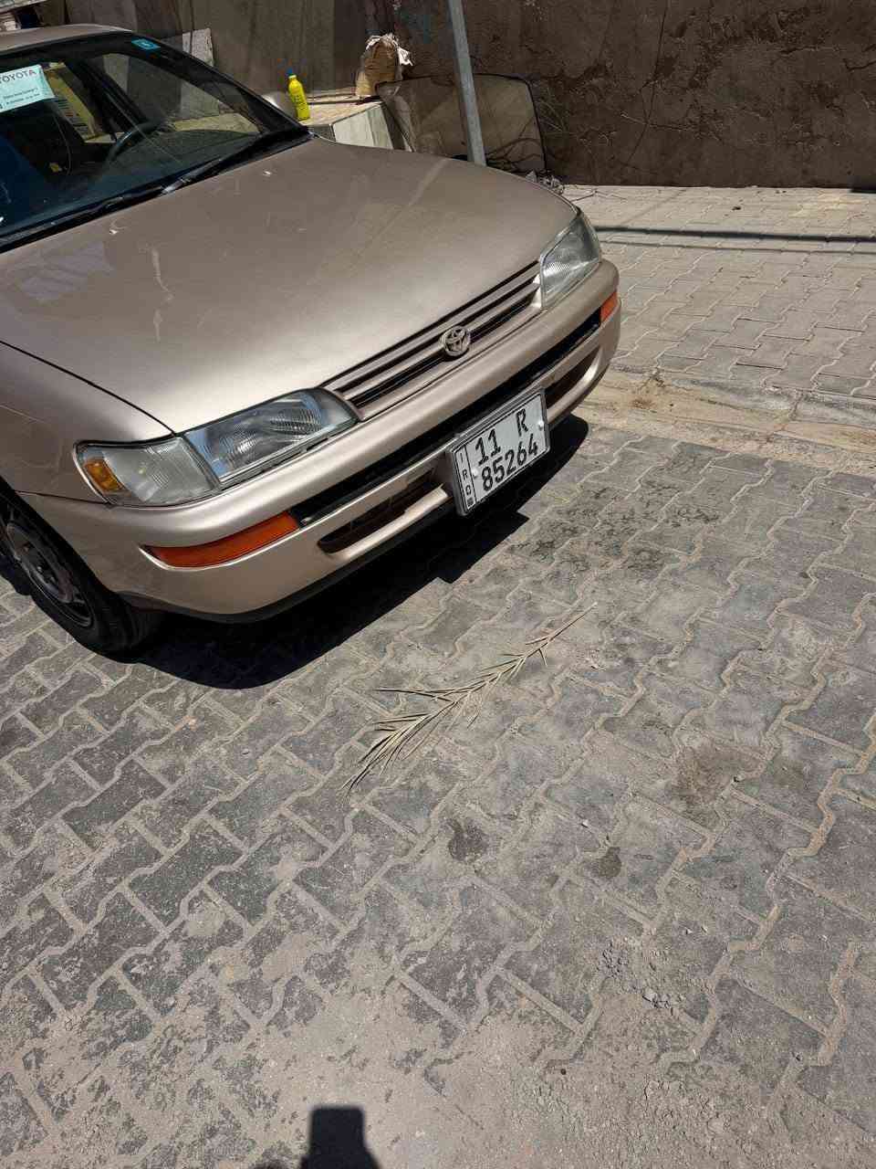 السلام عليكم للبيع كورلا رقم بغداد دولي باسم صاحبي مكينه وكير جدد شرط حداديه جديده شرط دواخل جدد كهربائيات كله شغاله مكفوله من ضربه صبغ عام جماليه تبريد ثلج السعر 55 مكان السياره نجف ***********
