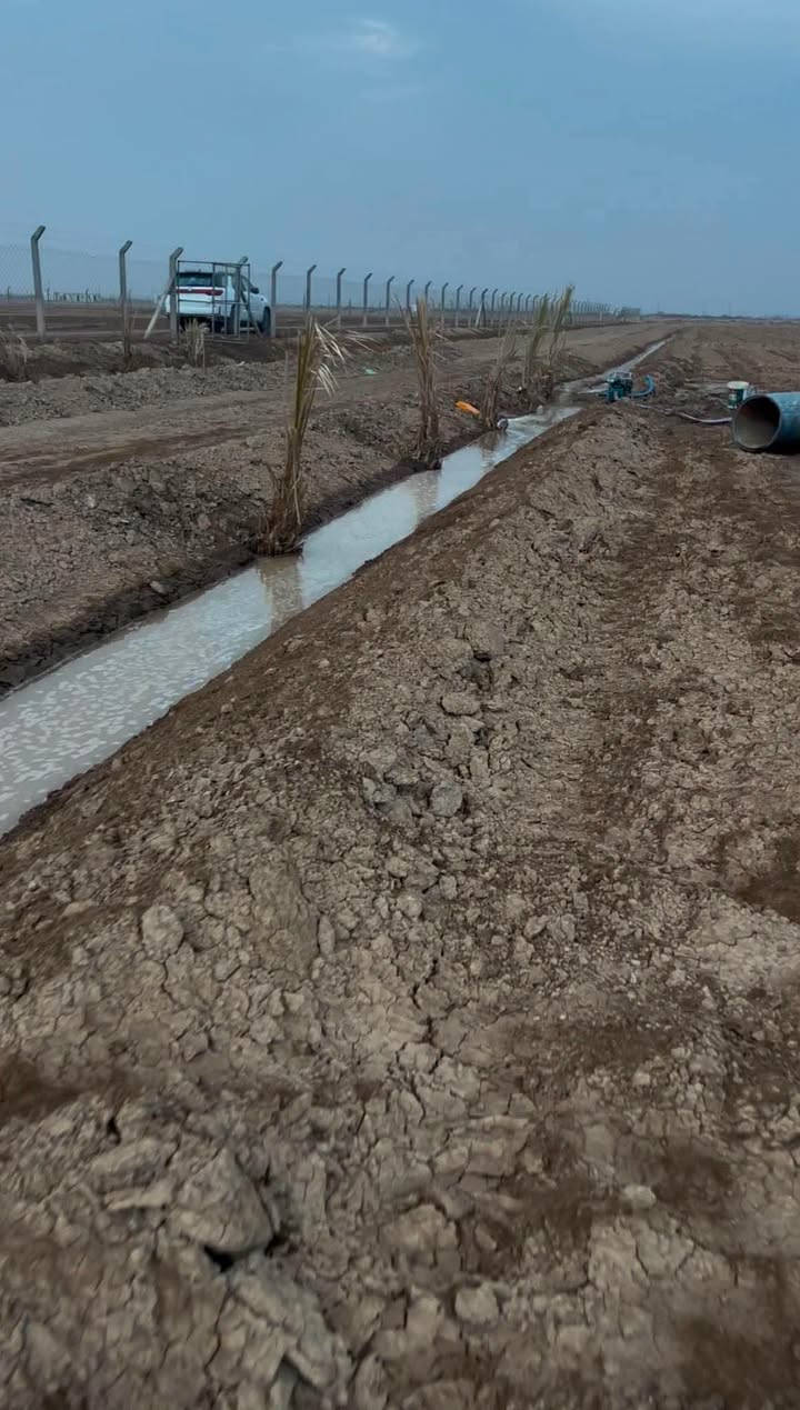 بالحكيم ا • ٢٥٠٠م • سند ٢٥