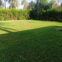دوانم البيع طابو صرف متوفره خدمات كهرباء ماء تبليط لباب متوفر عله شارع...