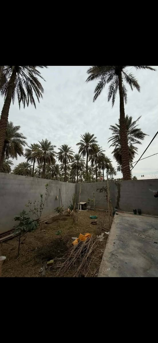 للبيع للبيع
المساحة الكلية 416 متر بناء حديث
تفاصيل البناء
الارضية رفت بناء طابوق
عرض الشارع 10متر الواجهة 11 نزال 38
استقبال + مطبخ حار بارد +هول داخلي + غرفتين نوم واحدة +  مناها تحتوي على سويت + مجمع صحيات+ صحيات خارجية + غرفة نوم في الطابق الثاني +يحتوي على اسطح عدد 2 امامي و خلفي
حديقة امامية و خلفية مع مولد سعة 30 كي ڤي 
الموقع سدة بيت حسوني قرب الفريجي نزلت بيت سيد طه الاستفسار الإتصال على الأرقام التالية 
***********
***********
