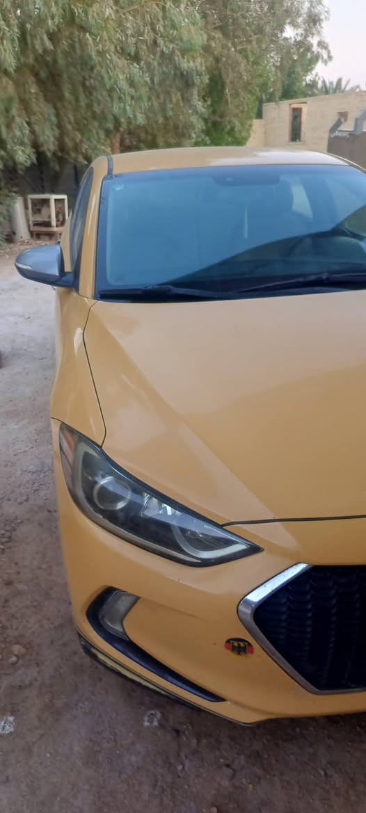 النترا • ٢٠١٧ • وارد أمريكي