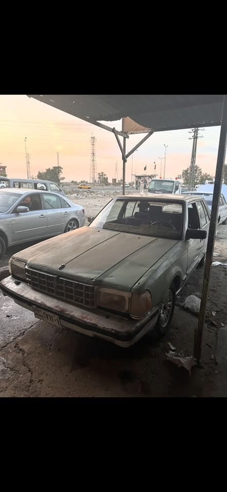 يابة سوبر • بدون راعي
