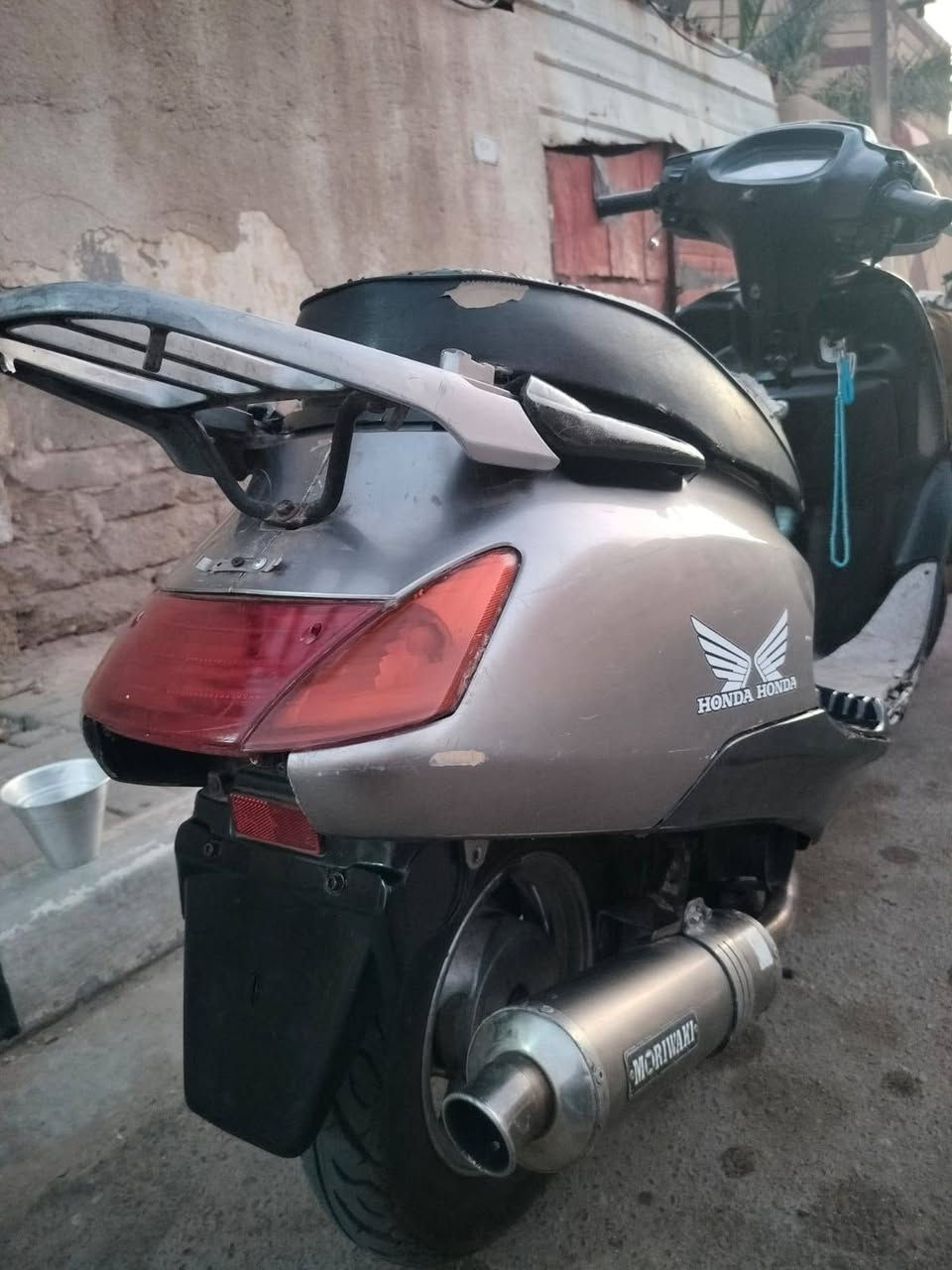 سبيسي • شغاله • بل قبله