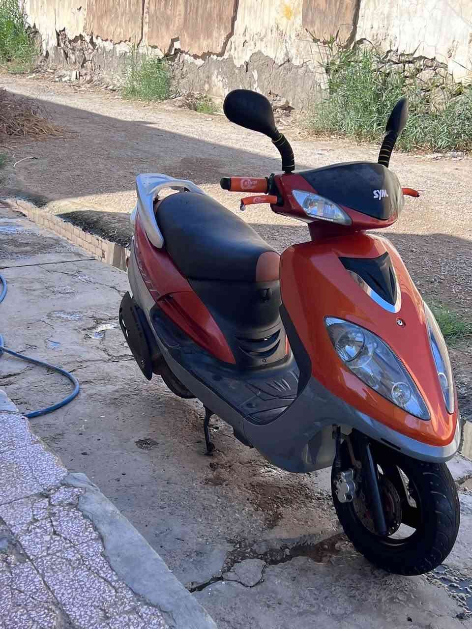 ابو عيون • مشمشي • بدون أوراق
