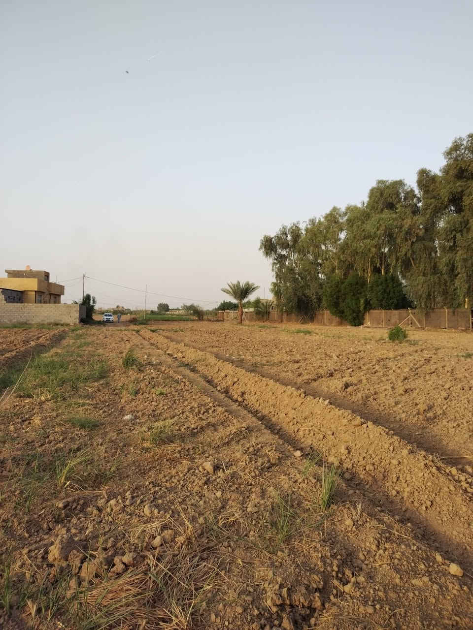 سند ١١٧ • ٢ دونم • جسر الفرنسي