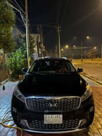 سورنتوا • ٢٠١٩ • ٧ راكب