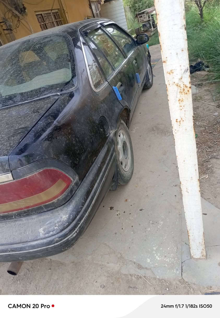 برنس • موديل 95 • رقم بغداد
