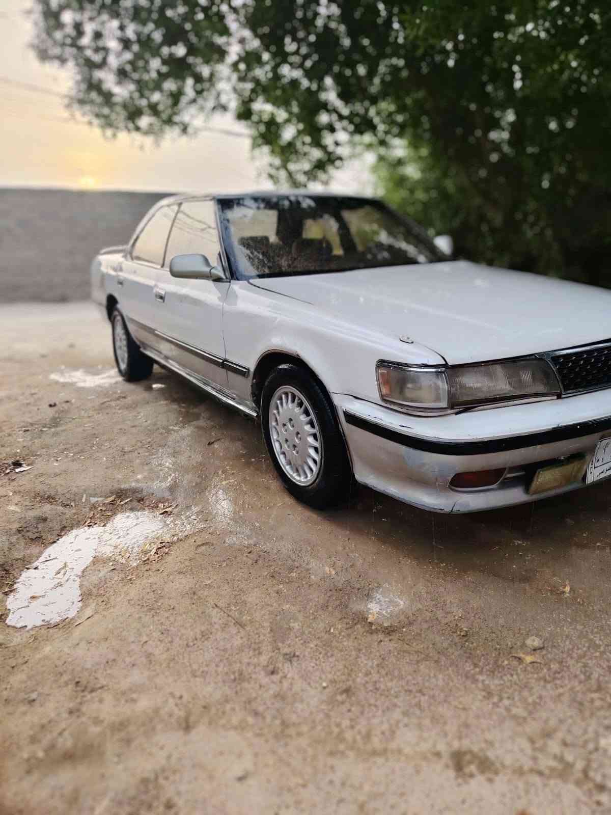 شيرز • ٩٤ • رقم ديالى