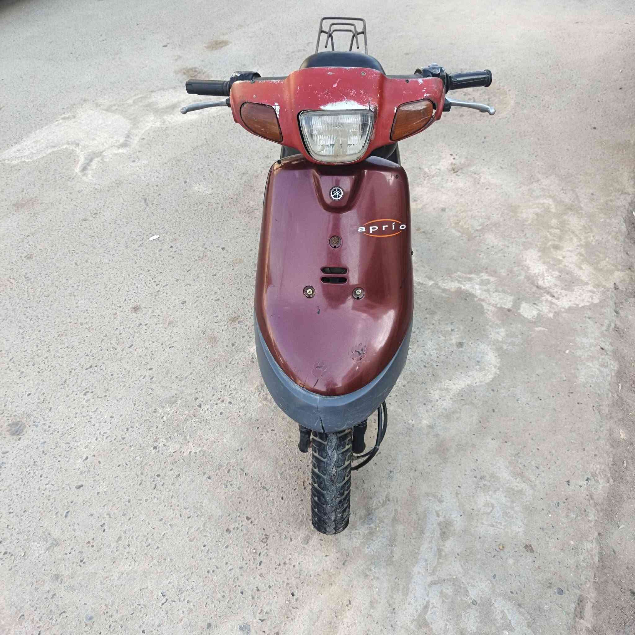 شغاله • سلف • هندل
