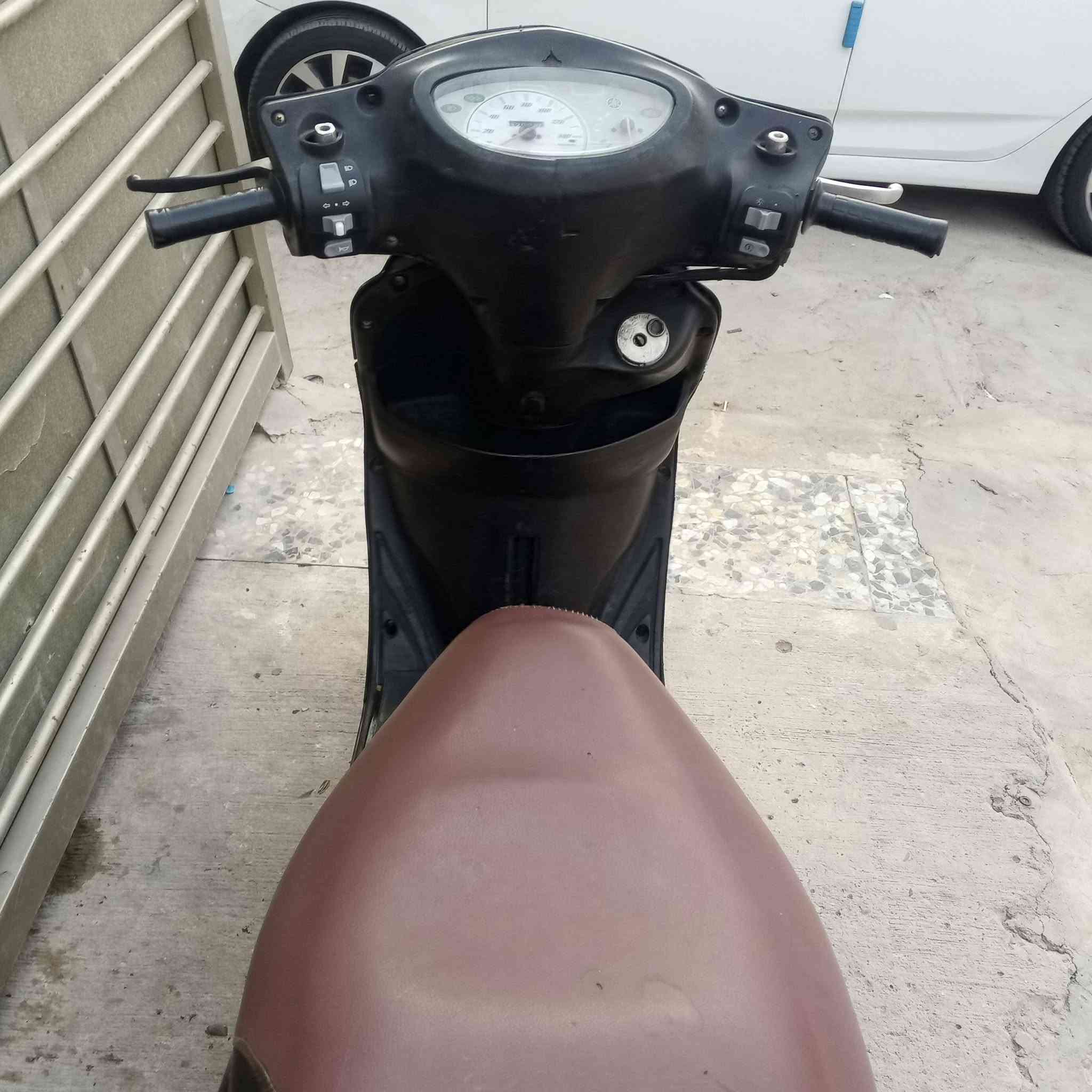 فريز ببغاء • نوزل خطين • ١٤٠