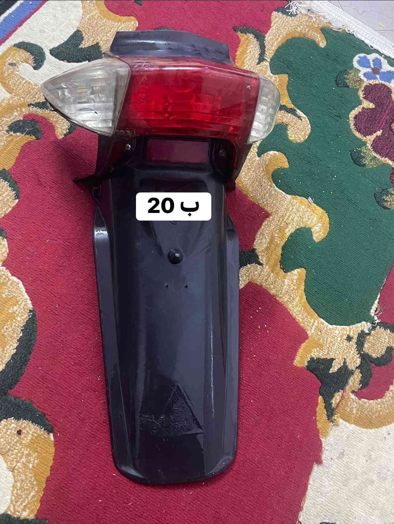 سكنس فحل • اصلي • المشتل