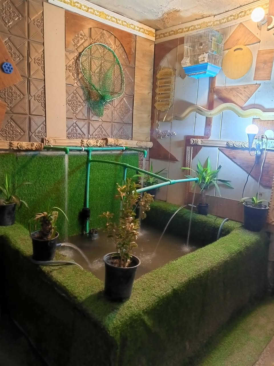 سمك المسكوف • أوزان ٣-٢-١ كيلو • توصيل الشوملي